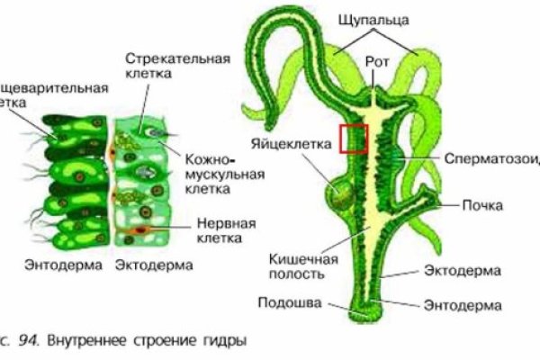 Сайт кракен онион