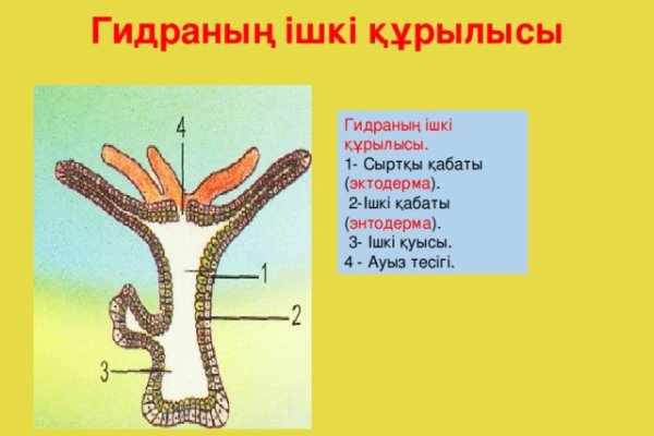 Kraken сайт анонимных покупок